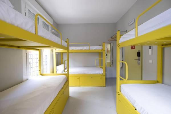 Bed 14-Bed Mixed Dormitory Room